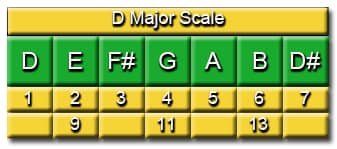 Degrees of the D Major Scale