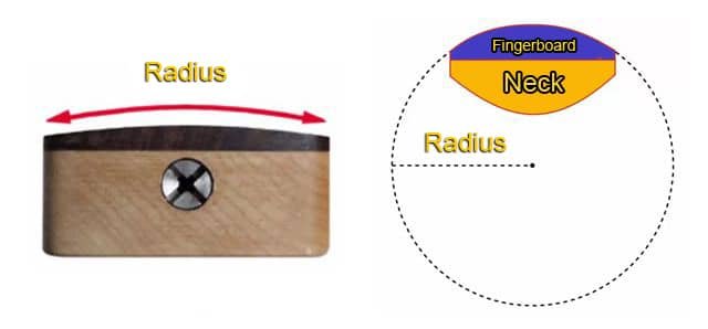 Fingerboard Radius