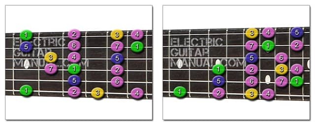 Graphs of the Major Scale on Guitar