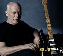 David Gilmour Black Strat Pickups
