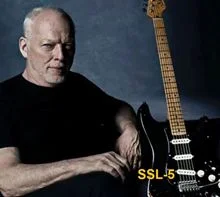 David Gilmour Black Strat Pickups