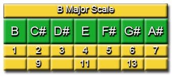 Degrees of the B Major Scale