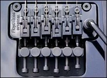 Best Beginner Electric Guitar: Floyd Rose