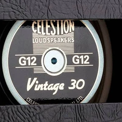 Speakers for Electric Guitar Amp